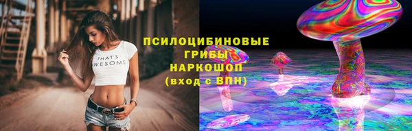 трава Нязепетровск