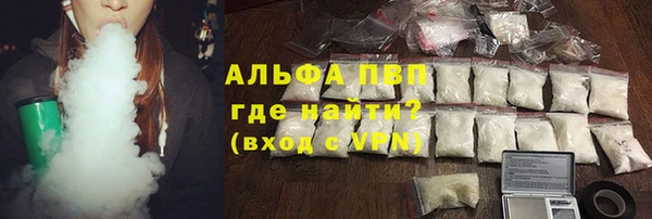 дживик Новозыбков
