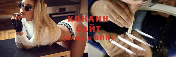 тгк Новодвинск