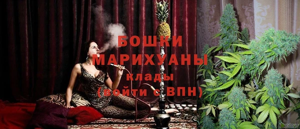дживик Новозыбков