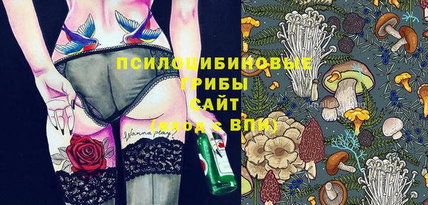 трава Нязепетровск