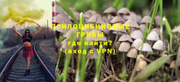 дживик Новозыбков