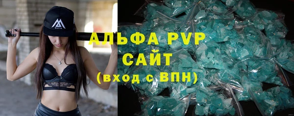 тгк Новодвинск