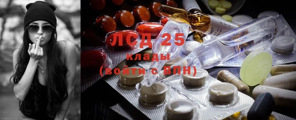 тгк Новодвинск