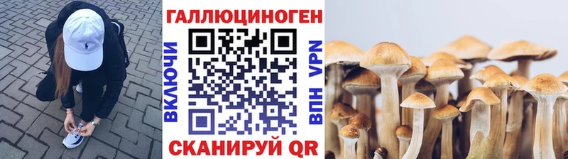 Галлюциногенные грибы Psilocybe Приволжск